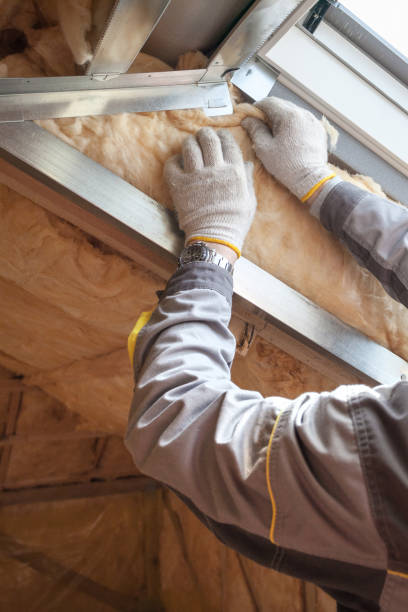 Best Cellulose Insulation in South Holland, IL