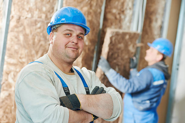 Best Insulation Maintenance and Repair in South Holland, IL
