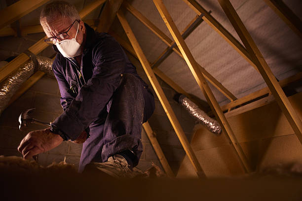 Best Blown-in Insulation in South Holland, IL